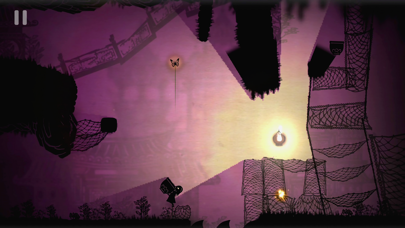Projection: First Light