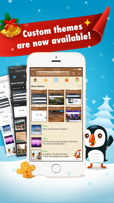 Puffin Browser Pro