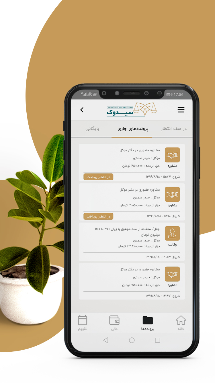سیدوک متخصص