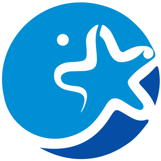 کرمان استار