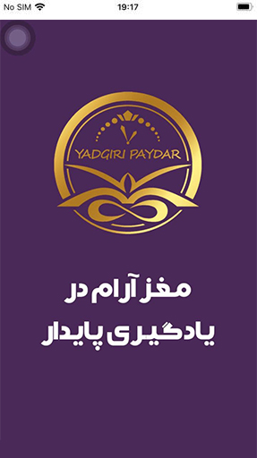 یادگیری پایدار