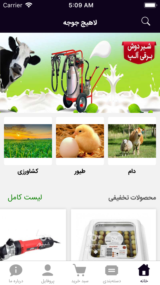 لاهیج جوجه