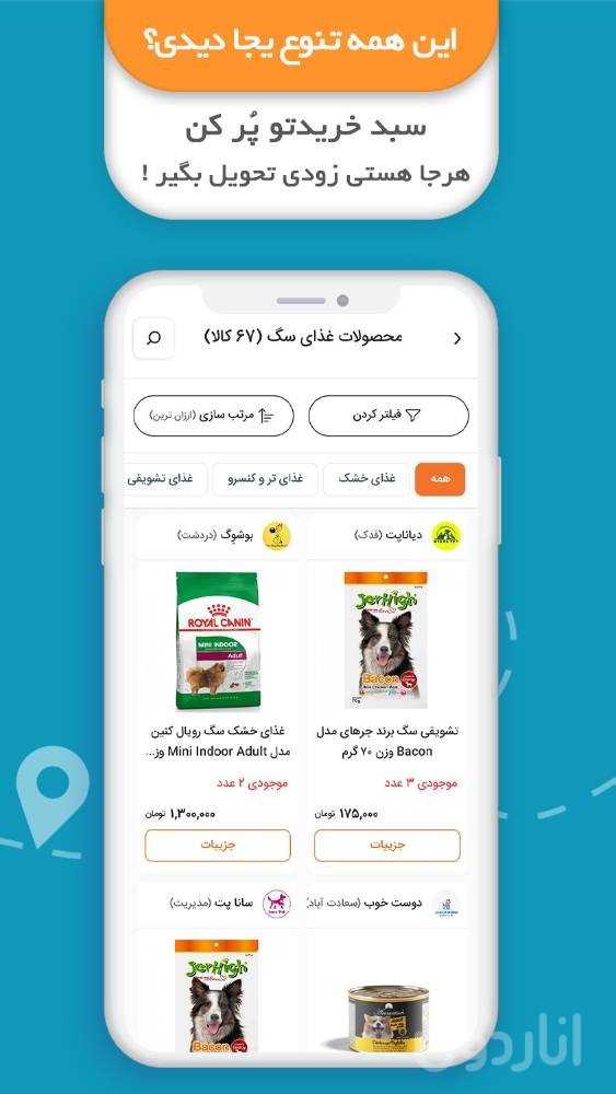 پت زی