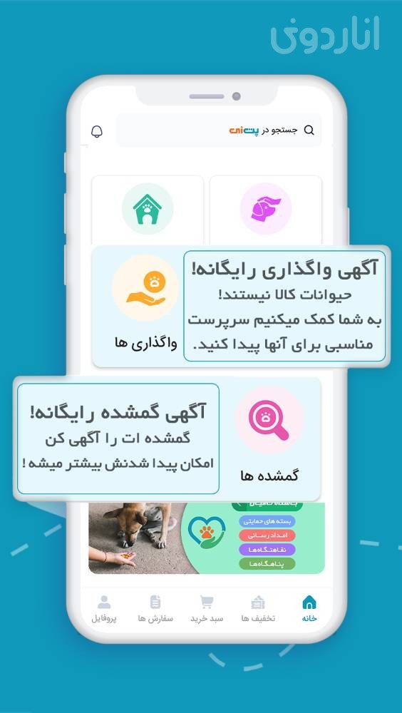 پت زی