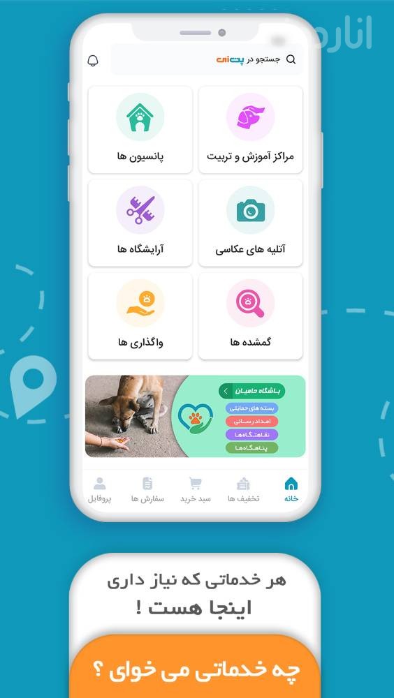 پت زی