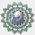 شاه نعمت الله ولي(ديوان کامل)