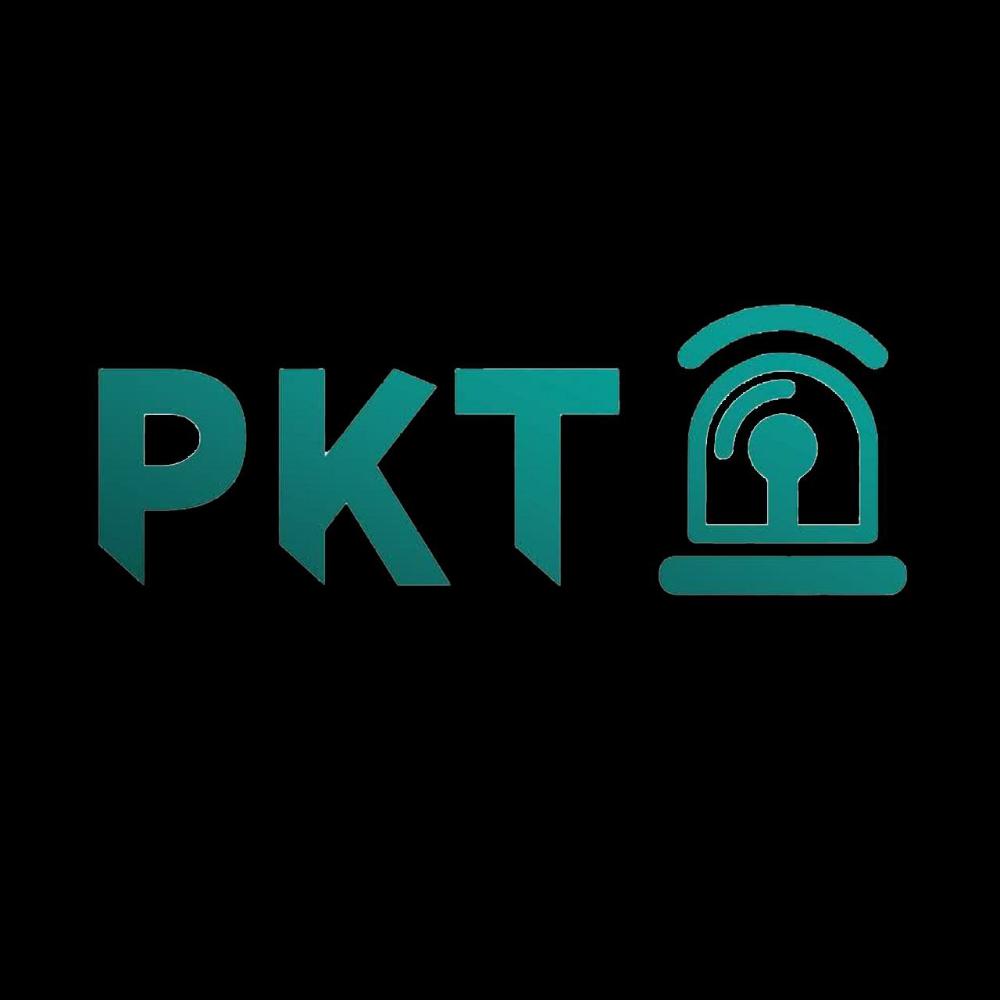دزدگیر پی کی تی