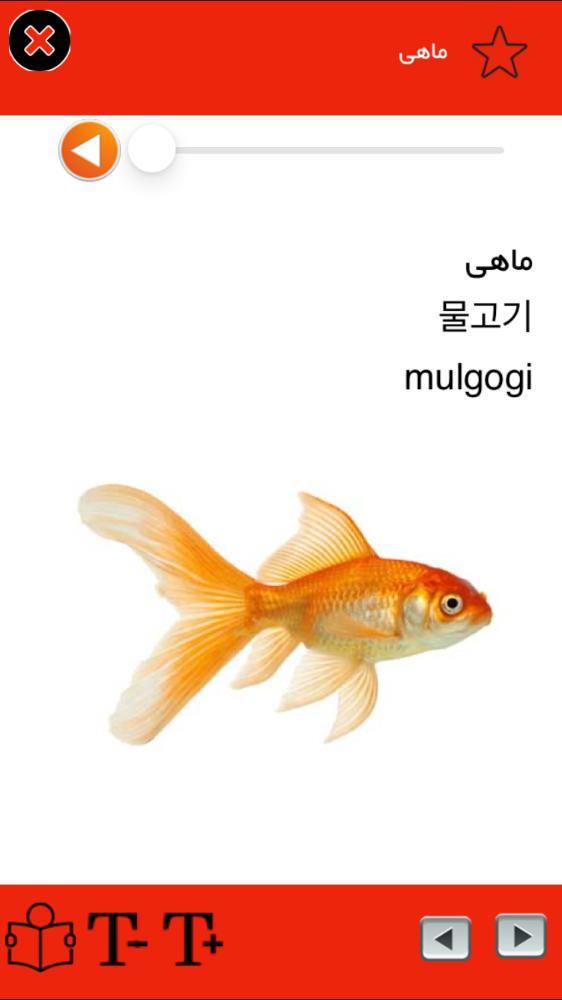 فلش کارت کره اي