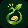بذر زندگی - Life Seed
