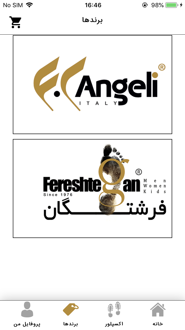 کفش فرشتگان