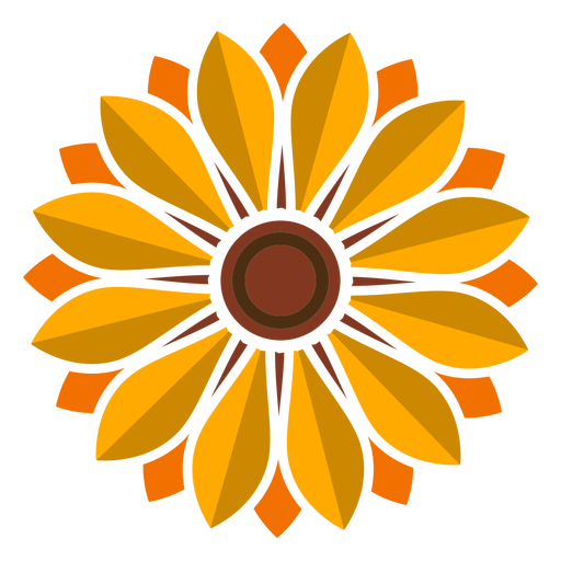 sun flower