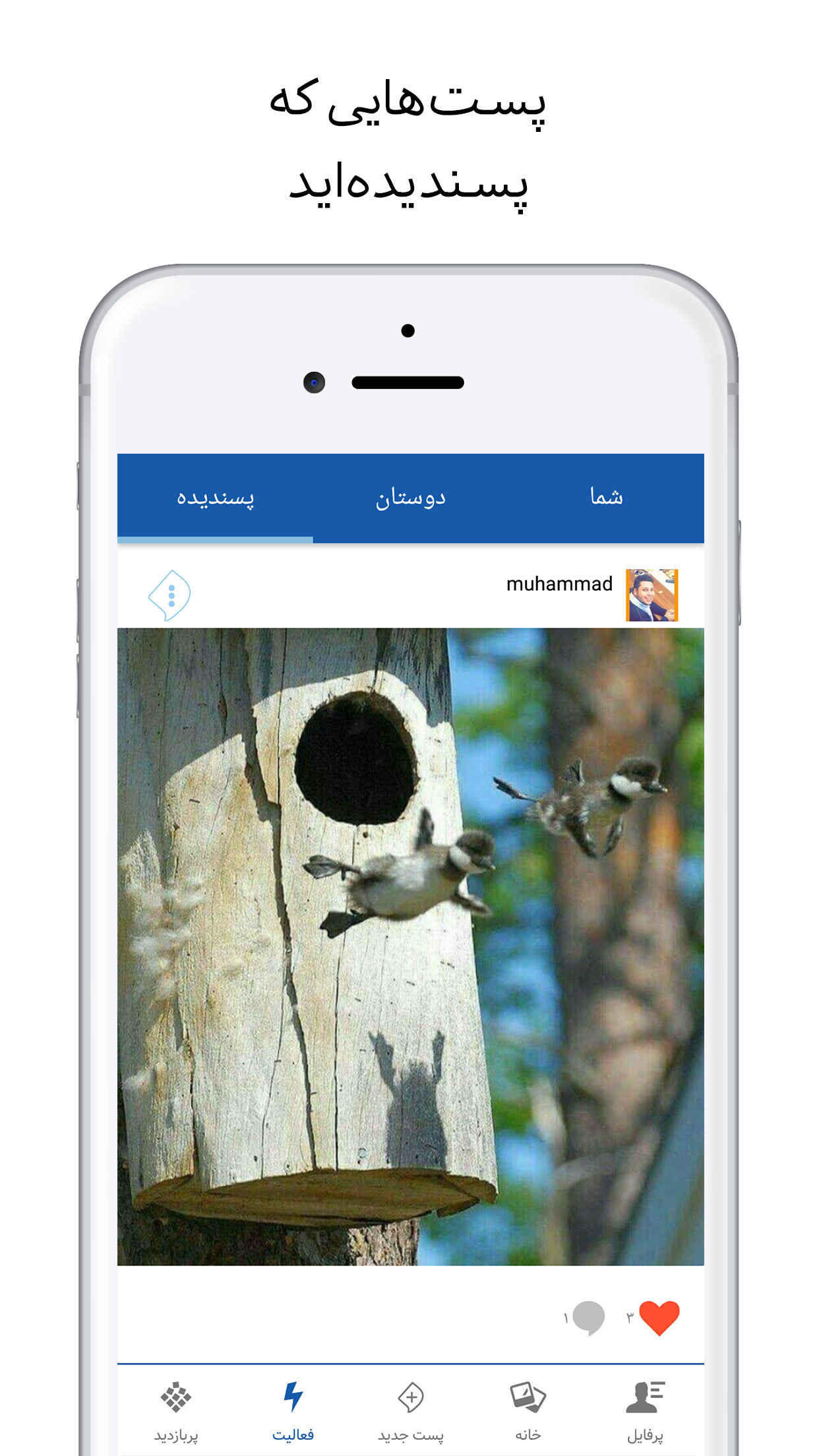 جیک و پیک