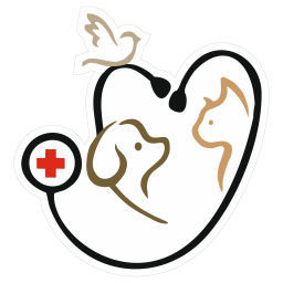 پت شاپ 115