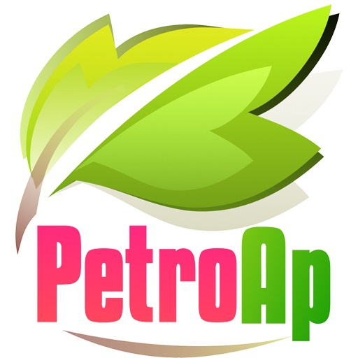 جایگاه سوخت - پترواپ