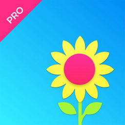 Skywall Pro - HD+ Wallpapers